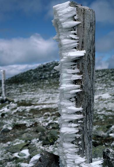 August 29, 1986 - Atop Mount Washington, New Hampshire.<br />Hoarfrost or time ice or something else?