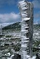 August 29, 1986 - Atop Mount Washington, New Hampshire.<br />Hoarfrost or time ice or something else?