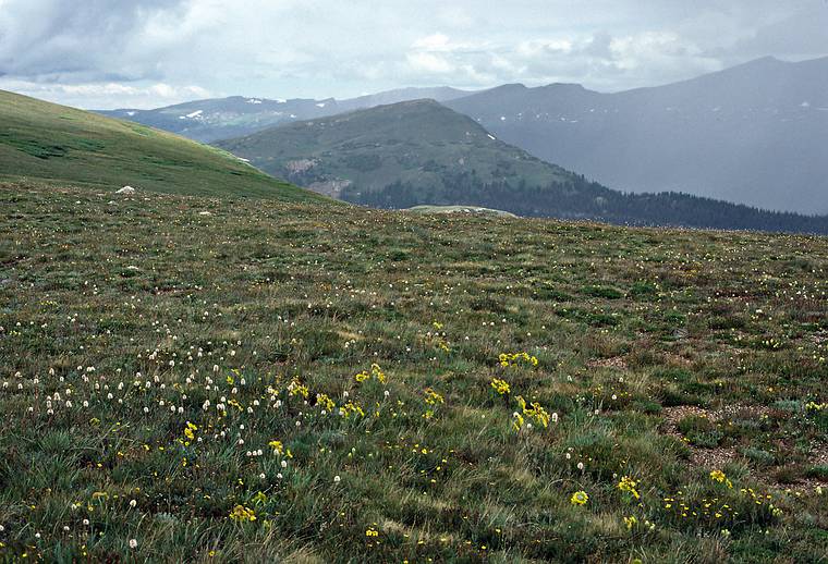July 23, 1986 - Rocky Mountain National Park, Colorado.