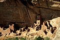 July 26, 1986 - Mesa Verde National Park, Colorado.<br />Tower House.