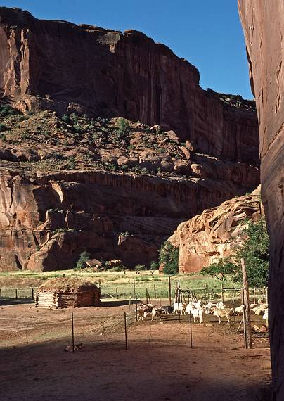 July 31, 1986 - Canyon de Chelly National Monument, Arizona.<br />Along the Woman's Trail on way to White House Ruins.