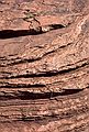 July 31, 1986 - Canyon de Chelly National Monument, Arizona.<br />A snake climbing the canyon wall.