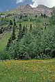 August 3, 1986 - Jeep ride in the mountains around Ouray, Colorado.<br />Potosi Peak?