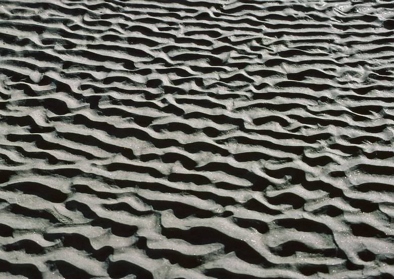 Feb. 7, 1987 - Sandy Point State Reservation, Plum Island, Massachusetts.
