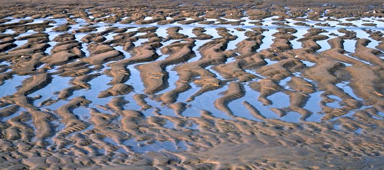 Feb. 7, 1987 - Sandy Point State Reservation, Plum Island, Massachusetts.