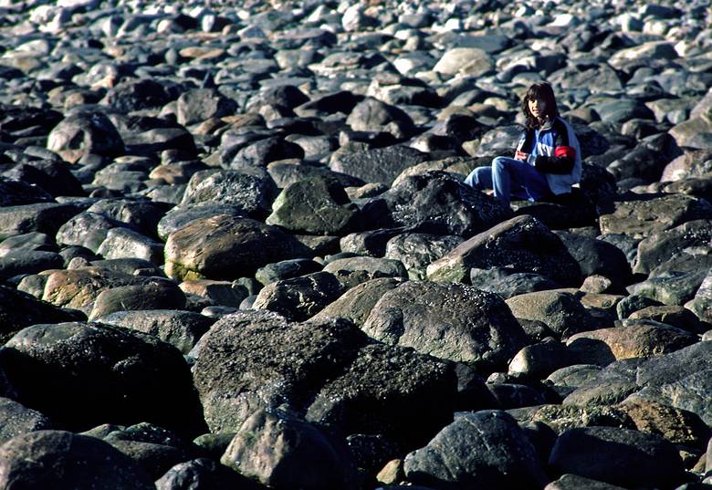 Feb. 7, 1987 - Sandy Point State Reservation, Plum Island, Massachusetts.