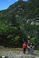 Sept. 6, 1987 - Mt. Washington area, New Hampshire.<br />Hike from Pinkham Notch to Lakes of the Clouds AMC hut.<br />Nancy, Juris, and Joyce at Hermit Lake.