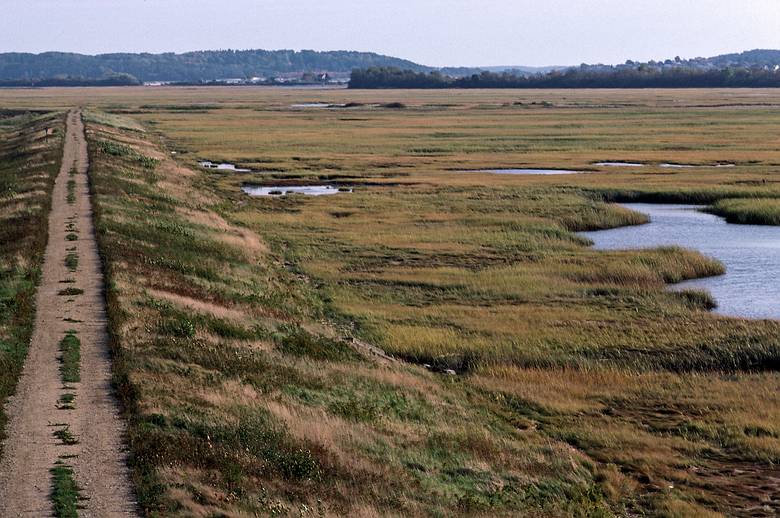 Sept. 19, 1987 - Parker River National Wildlife Refuge, Plum Island, Massachusetts.<br />View from tower at Hellcat Swamp.
