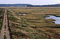 Sept. 19, 1987 - Parker River National Wildlife Refuge, Plum Island, Massachusetts.<br />View from tower at Hellcat Swamp.