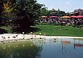 May 2, 1987 - Epcot Center at Walt Disney World in Orlando, Florida.<br />Flamingos.