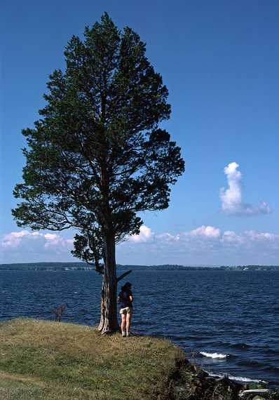 August 16-30, 1987 - Camping on Burton Island on Lake Champlain, Vermont.<br />Joyce.