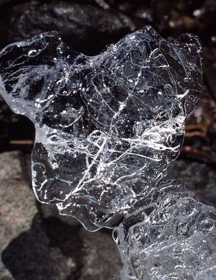 Feb. 28, 1988 - Merrimac, Massachusetts.<br />Close up of ice patterns.