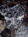 Feb. 28, 1988 - Merrimac, Massachusetts.<br />Close up of ice patterns.