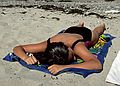July 2-15, 1988 - Bailey Island, Maine.<br />Melody catching some rays (and some zzz's).