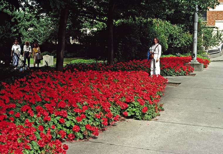 August 16, 1988 - Seattle, Washington.<br />Joyce.
