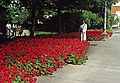 August 16, 1988 - Seattle, Washington.<br />Joyce.