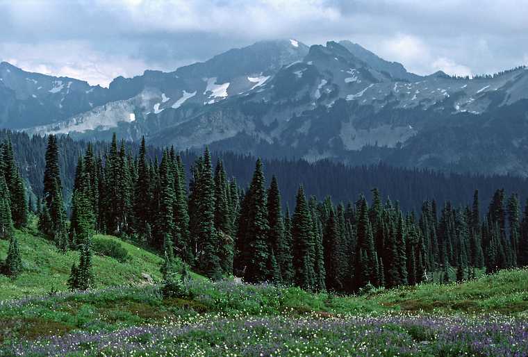 August 17, 1988 - Mt. Rainier, Washington.<br />Hike from Paradise to Panorama Point.