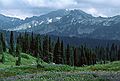 August 17, 1988 - Mt. Rainier, Washington.<br />Hike from Paradise to Panorama Point.