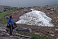 August 17, 1988 - Mt. Rainier, Washington.<br />Hike from Paradise to Panorama Point.<br />Joyce.