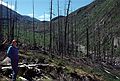 August 18, 1988 - Mt. Saint Helens, Washington.<br />Joyce still miles away from being able to see Mt. Saint Helens.