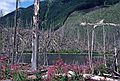 August 18, 1988 - Mt. Saint Helens, Washington.