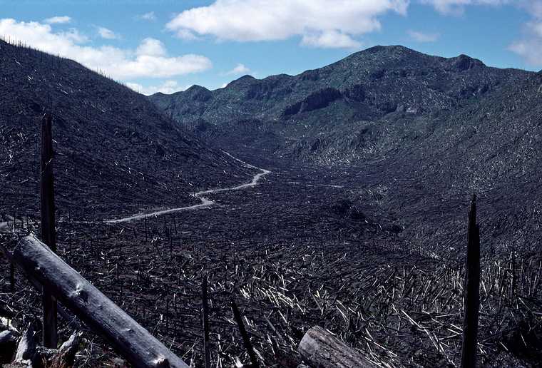 August 18, 1988 - Mt. Saint Helens, Washington.<br />Road towards Mt. Saint Helens (still not visible).