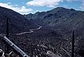 August 18, 1988 - Mt. Saint Helens, Washington.<br />Road towards Mt. Saint Helens (still not visible).