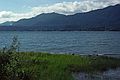 August 19, 1988 - Lake Quinault area, Olympic Peninsula, Washington<br />Lake Quinault.