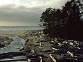 August 19, 1988 - Kalaloch, Olympic Peninsula, Washington.
