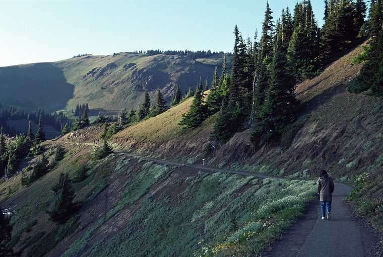 August 20, 1988 - Hurricane Ridge, Olympic National Park, Washington.<br />Joyce leading the way.