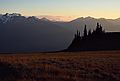 August 20, 1988 - Hurricane Ridge, Olympic National Park, Washington.
