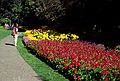 August 22, 1988 - Victoria, British Columbia, Canada.<br />Beacon Hill Park.<br />Joyce.