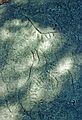 August 23, 1988 - Petroglyph Provincial Park, Nanaimo, Vancouver Island, Canada.