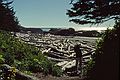 August 23, 1988 - Pacific Rim National Park, Vancouver Island, British Columbia, Canada.<br />Joyce at a log strewn beach.