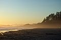 August 23, 1988 - Pacific Rim National Park, Vancouver Island, British Columbia, Canada.