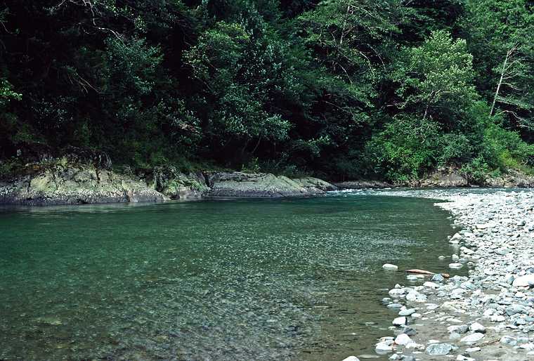 August 24, 1988 - Somewhere along BC-4 on Vancouver Island, British Columbia, Canada.<br />A clear stream.