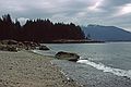 August 25, 1988 - Beach along highway south of Powell River, British Columbia, Canada.