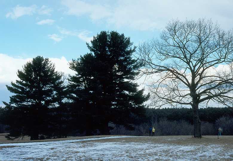 March 1989 - Maudsdlay State Park, Newburyport, Massachusetts.