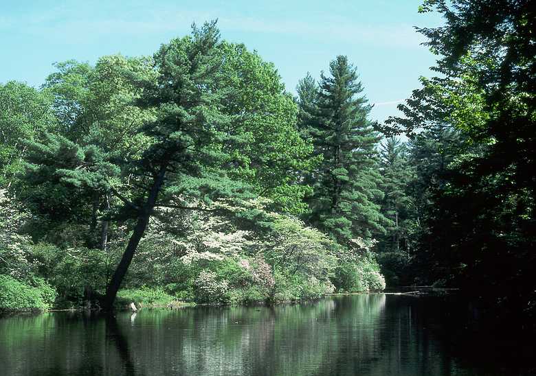 June 4, 1989 - Maudslay State Park, Newburyport, Massachusetts.