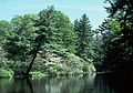 June 4, 1989 - Maudslay State Park, Newburyport, Massachusetts.
