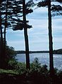 June 4, 1989 - Maudslay State Park, Newburyport, Massachusetts.<br />Merrimack River.