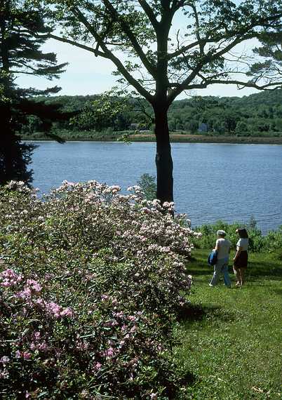 June 4, 1989 - Maudslay State Park, Newburyport, Massachusetts.