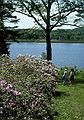 June 4, 1989 - Maudslay State Park, Newburyport, Massachusetts.