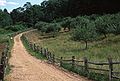 July 2, 1989 - Sturbridge Village, Massachusetts.