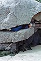 August 21-26, 1989 - Mount Desert Island, Maine.<br />Eric seems to enjoy being in a tight spot.