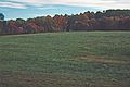 October 1989 - South Hampton, New Hampshire.<br />Kim and Tom's new property for their new house.