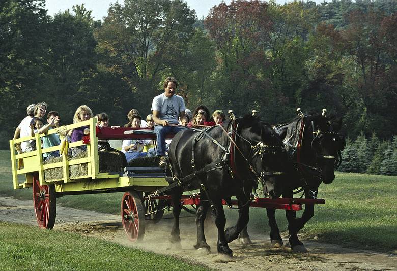 October 1990 - Maudslay State Park, Newburyport, Massachusetts.