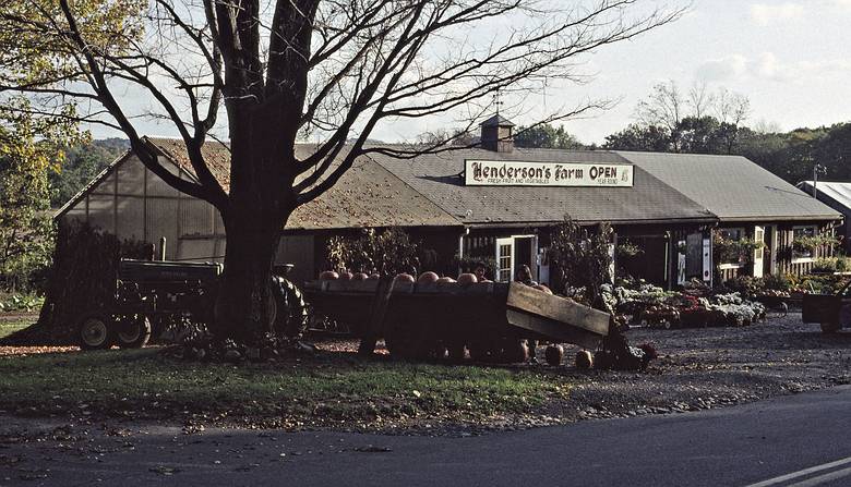October 1990 - At Henderson Farm, Haverhill, Massachusetts.