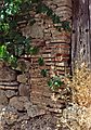 June 30, 1990 - Toledo, Spain.<br />My turn to photograph the grapes and the old wall.