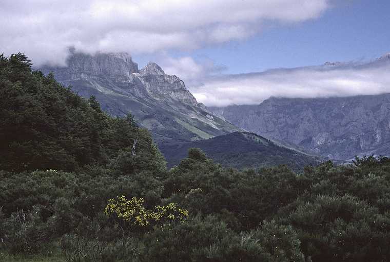 July 7, 1990 - Puerto de Panderrueda (Len), 1450 m (4757 ft).